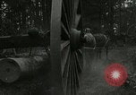 Image of Lumber operations and Johannesburg Manufacturing Company Store Michigan United States USA, 1921, second 48 stock footage video 65675077363