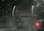 Image of Lumber operations and Johannesburg Manufacturing Company Store Michigan United States USA, 1921, second 54 stock footage video 65675077363