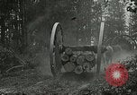 Image of Lumber operations and Johannesburg Manufacturing Company Store Michigan United States USA, 1921, second 57 stock footage video 65675077363