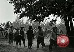 Image of Lumber operations and Johannesburg Manufacturing Company Store Michigan United States USA, 1921, second 62 stock footage video 65675077363