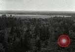 Image of Tree and stump clearing United States USA, 1921, second 3 stock footage video 65675077367
