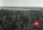 Image of Tree and stump clearing United States USA, 1921, second 4 stock footage video 65675077367