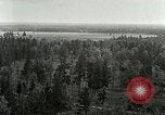 Image of Tree and stump clearing United States USA, 1921, second 5 stock footage video 65675077367