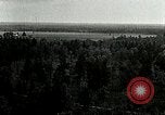 Image of Tree and stump clearing United States USA, 1921, second 8 stock footage video 65675077367
