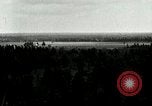 Image of Tree and stump clearing United States USA, 1921, second 15 stock footage video 65675077367