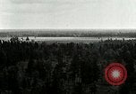 Image of Tree and stump clearing United States USA, 1921, second 16 stock footage video 65675077367
