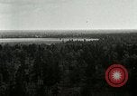 Image of Tree and stump clearing United States USA, 1921, second 19 stock footage video 65675077367