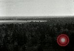Image of Tree and stump clearing United States USA, 1921, second 20 stock footage video 65675077367