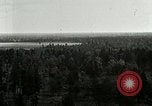 Image of Tree and stump clearing United States USA, 1921, second 21 stock footage video 65675077367