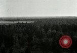 Image of Tree and stump clearing United States USA, 1921, second 22 stock footage video 65675077367