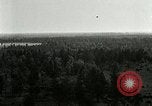 Image of Tree and stump clearing United States USA, 1921, second 24 stock footage video 65675077367