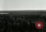Image of Tree and stump clearing United States USA, 1921, second 25 stock footage video 65675077367