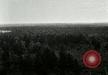 Image of Tree and stump clearing United States USA, 1921, second 26 stock footage video 65675077367