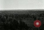 Image of Tree and stump clearing United States USA, 1921, second 27 stock footage video 65675077367