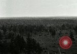 Image of Tree and stump clearing United States USA, 1921, second 28 stock footage video 65675077367