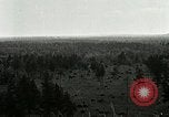 Image of Tree and stump clearing United States USA, 1921, second 29 stock footage video 65675077367