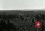 Image of Tree and stump clearing United States USA, 1921, second 30 stock footage video 65675077367