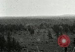 Image of Tree and stump clearing United States USA, 1921, second 31 stock footage video 65675077367