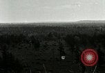 Image of Tree and stump clearing United States USA, 1921, second 32 stock footage video 65675077367