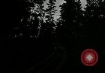 Image of Tree and stump clearing United States USA, 1921, second 44 stock footage video 65675077367