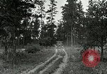 Image of Tree and stump clearing United States USA, 1921, second 51 stock footage video 65675077367