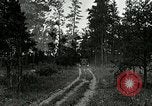 Image of Tree and stump clearing United States USA, 1921, second 52 stock footage video 65675077367