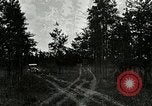 Image of Tree and stump clearing United States USA, 1921, second 53 stock footage video 65675077367