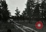 Image of Tree and stump clearing United States USA, 1921, second 54 stock footage video 65675077367