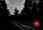 Image of Tree and stump clearing United States USA, 1921, second 59 stock footage video 65675077367