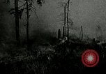 Image of Tree and stump clearing United States USA, 1921, second 62 stock footage video 65675077367