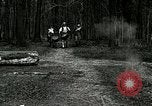Image of Revolutionary reenactor drummers and fife player United States USA, 1916, second 6 stock footage video 65675077372
