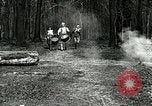 Image of Revolutionary reenactor drummers and fife player United States USA, 1916, second 7 stock footage video 65675077372