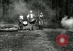Image of Revolutionary reenactor drummers and fife player United States USA, 1916, second 11 stock footage video 65675077372