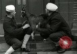 Standbild amerikanische Matrosen United States USA, 1917, aus Sekunde 7 historischem Filmmaterial Videoclip 65675077404