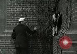 Standbild amerikanische Matrosen United States USA, 1917, aus Sekunde 10 historischem Filmmaterial Videoclip 65675077404