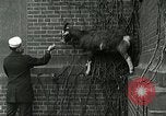 Standbild amerikanische Matrosen United States USA, 1917, aus Sekunde 23 historischem Filmmaterial Videoclip 65675077404