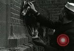 Standbild amerikanische Matrosen United States USA, 1917, aus Sekunde 29 historischem Filmmaterial Videoclip 65675077404