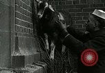 Standbild amerikanische Matrosen United States USA, 1917, aus Sekunde 31 historischem Filmmaterial Videoclip 65675077404