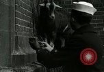 Standbild amerikanische Matrosen United States USA, 1917, aus Sekunde 33 historischem Filmmaterial Videoclip 65675077404