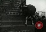 Standbild amerikanische Matrosen United States USA, 1917, aus Sekunde 41 historischem Filmmaterial Videoclip 65675077404