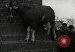 Standbild amerikanische Matrosen United States USA, 1917, aus Sekunde 42 historischem Filmmaterial Videoclip 65675077404