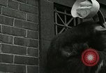 Standbild amerikanische Matrosen United States USA, 1917, aus Sekunde 45 historischem Filmmaterial Videoclip 65675077404