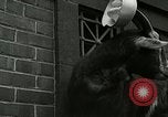 Standbild amerikanische Matrosen United States USA, 1917, aus Sekunde 46 historischem Filmmaterial Videoclip 65675077404