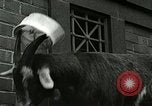 Standbild amerikanische Matrosen United States USA, 1917, aus Sekunde 54 historischem Filmmaterial Videoclip 65675077404