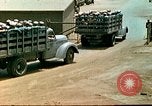 Image of American Seabees United States USA, 1945, second 44 stock footage video 65675077410