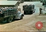 Image of American Seabees United States USA, 1945, second 45 stock footage video 65675077410