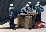 Image Seabees américain United States USA, 1945, de la seconde 16 séquences d'archives historiques vidéo 65675077412