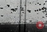 Image of saw dust Dahlgren Virginia USA, 1951, second 3 stock footage video 65675077420