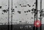 Image of saw dust Dahlgren Virginia USA, 1951, second 5 stock footage video 65675077420