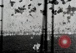 Image of saw dust Dahlgren Virginia USA, 1951, second 11 stock footage video 65675077420